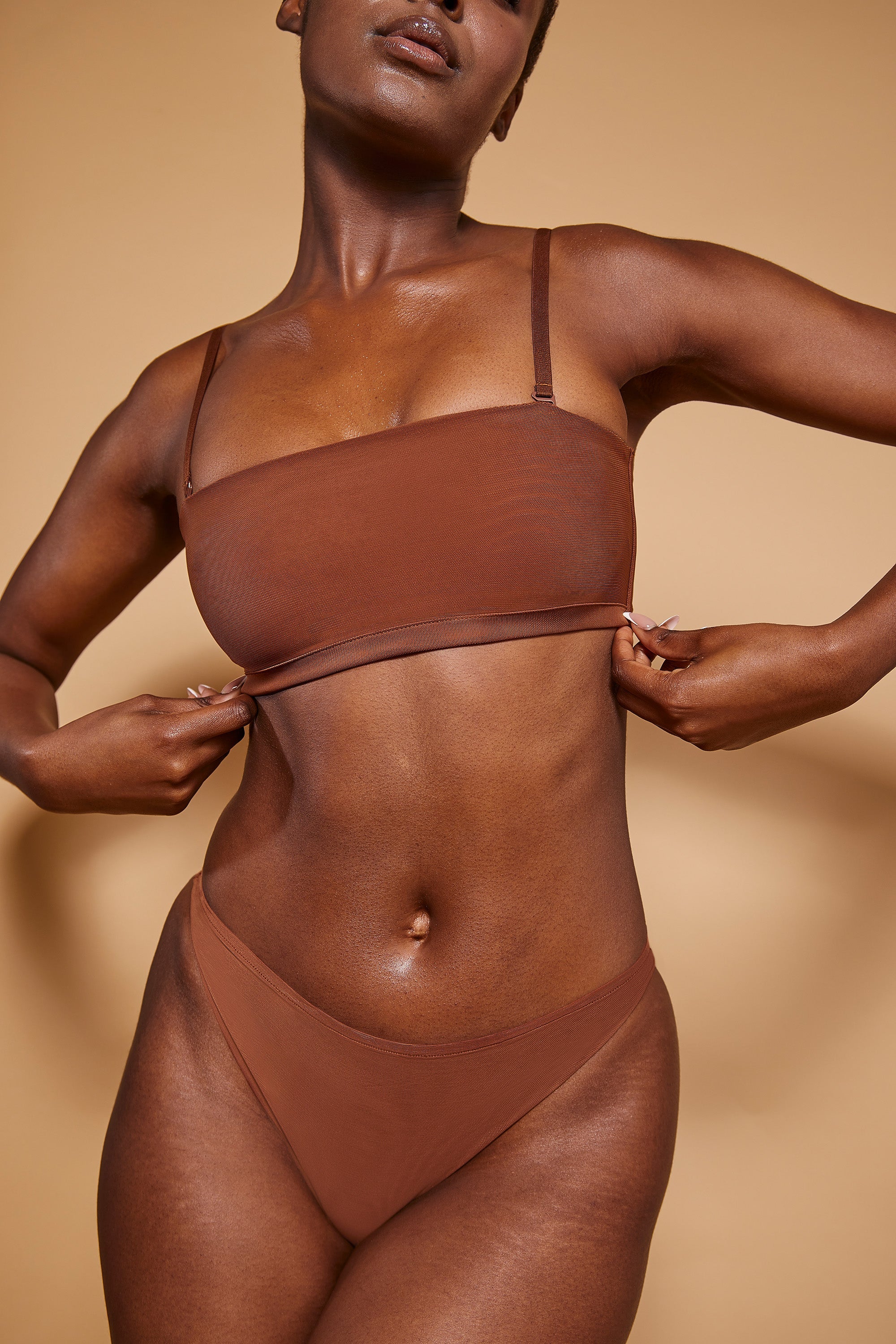 Intimates Soft Mesh Brief in Chestnut