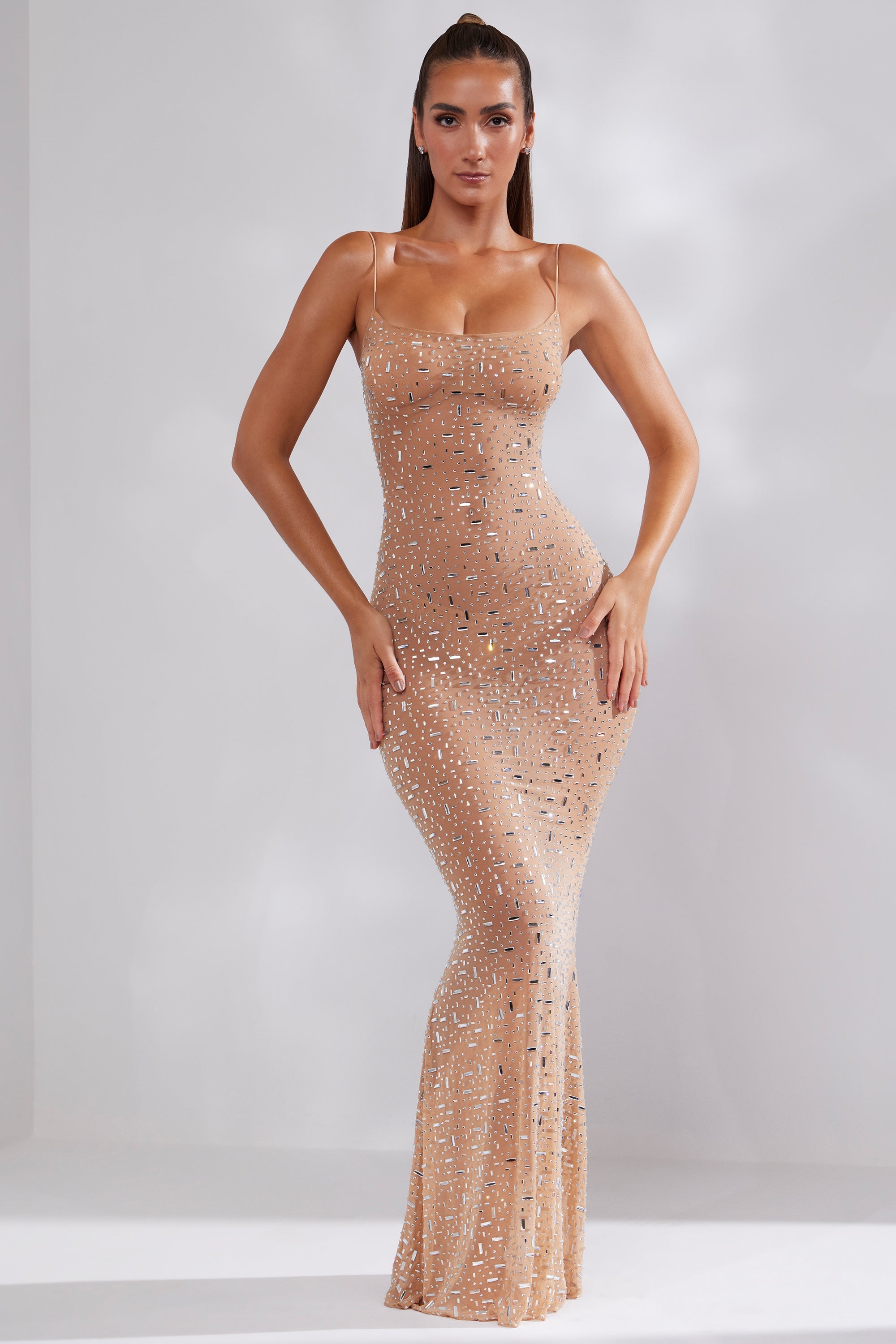 Antonella Sheer Embellished Scoop Neck Evening Gown in Almond - Image 6