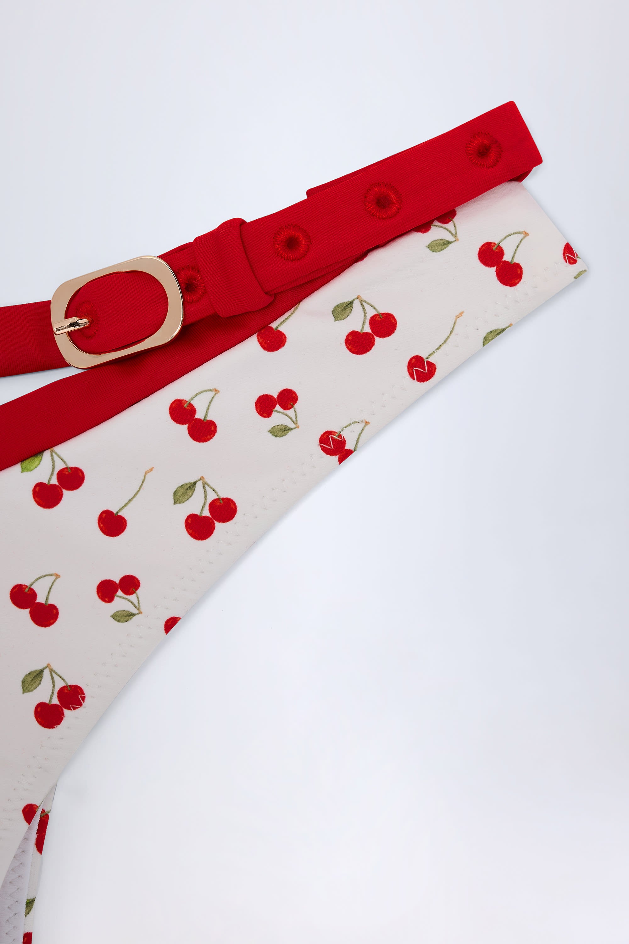 Aegina Contrast Belted Thong Bikini Bottoms in Cherry Print - Image 5